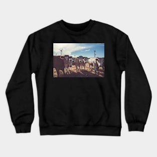 Carnosre Point Cows Crewneck Sweatshirt